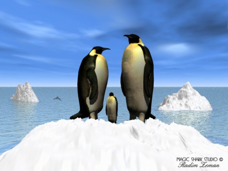 penguins--c800xc600.jpg